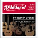 D'Addario EJ17 Phosphor Bronze Acoustic Guitar Strings, Medium, 13-56
