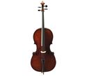 Eastman Cello Outfit 305 Model
