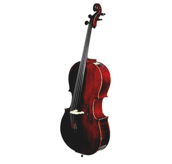 Johannes Core Cello Outfit K500C