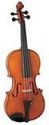 Juzek 205 Viola Outfit
