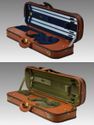 Negri Diplomat New Edition Violin Case