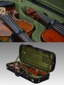 Negri Milano Plus Double Violin Case
