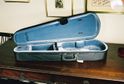 P. model viola case
