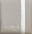 Perpetual Soloist Cello G