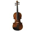 Pietro Lombardi 502 Violin