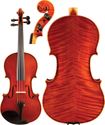Select Italian Violin
