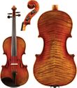 Select Medici Violin