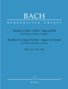 Solo Works for Violin, Violin Duets, Orchestral Excerpts, violin viola cello-ensemble.