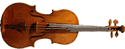Viola