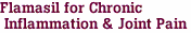 Flamasil for Chronic <br> Inflammation & Joint Pain