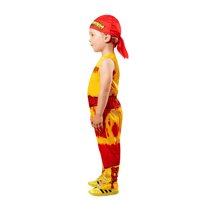 Hulk Hogan Costume