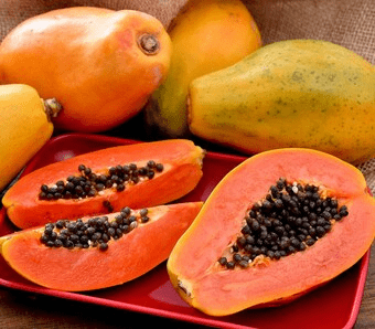 Solo - Dwarf Papaya Plant 