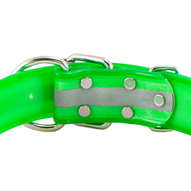 1 1/2 in. Beaded Reflective Dee-End Dog Collar Back of Buckle Detail