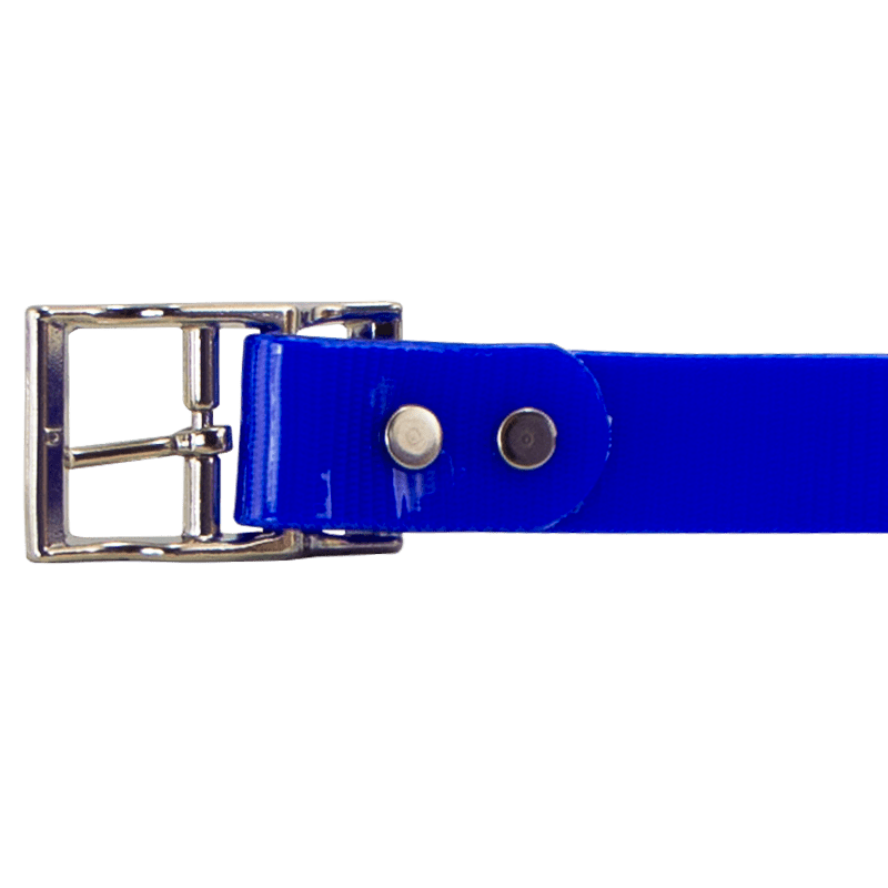 1 in. SunGlo Center Ring Collar Buckle Inside Detail