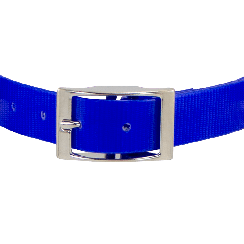1 in. SunGlo Center Ring Collar Front of Buckle Detail