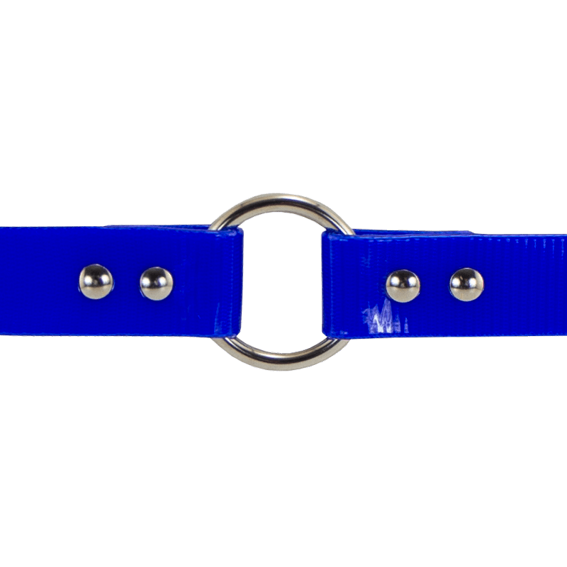 1 in. SunGlo Center Ring Collar Outside Ring Detail