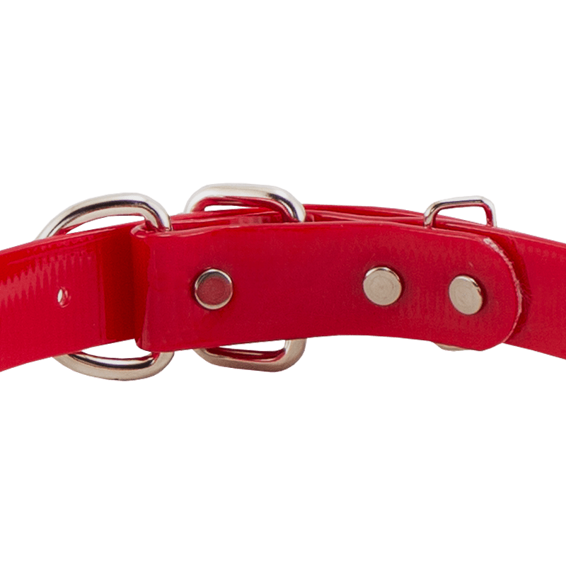 1 in. SunGlo D-End Collar Back of Buckle Detail