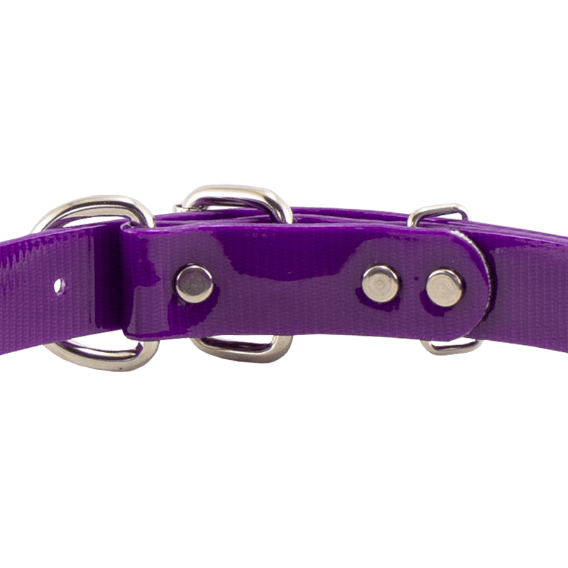 1 in. SunGlo D-End Collar Back of Buckle Detail