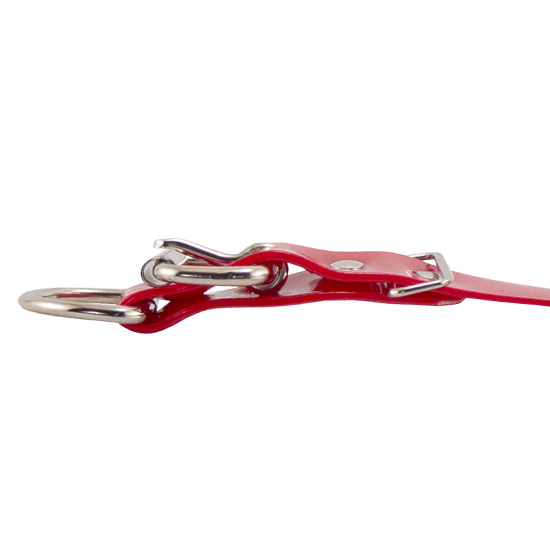 1 in. SunGlo D-End Collar Buckle Edge Detail