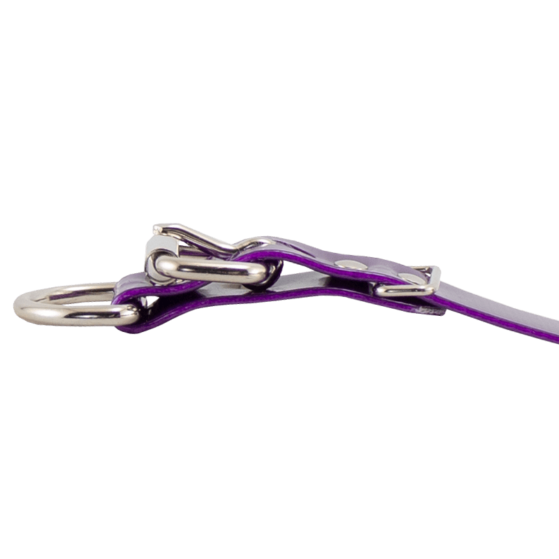 1 in. SunGlo D-End Collar Buckle Edge Detail