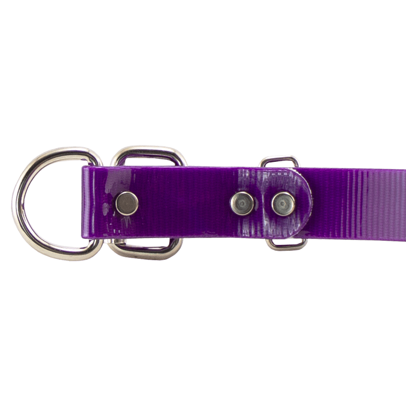 1 in. SunGlo D-End Collar Buckle Inside Detail