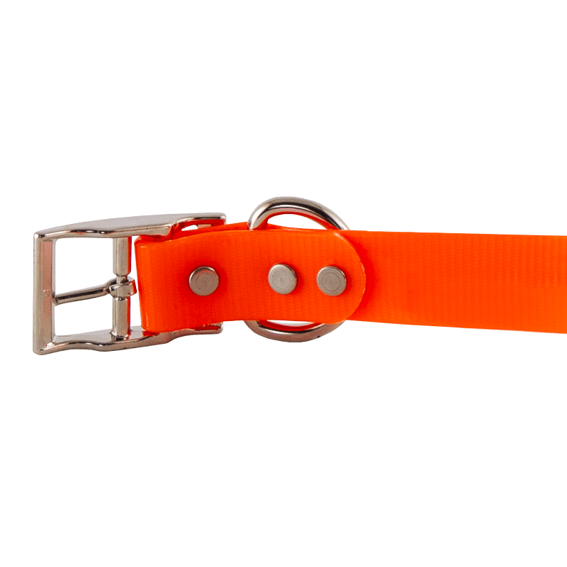 1 in. SunGlo Standard Collar Buckle Inside Detail