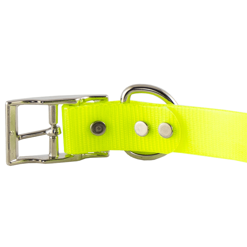 1 in. SunGlo Standard Collar Buckle Inside Detail