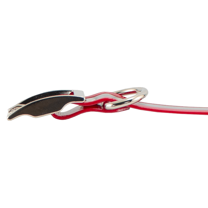 SunGlo Reflective Standard Dog Collar Buckle Edge Detail