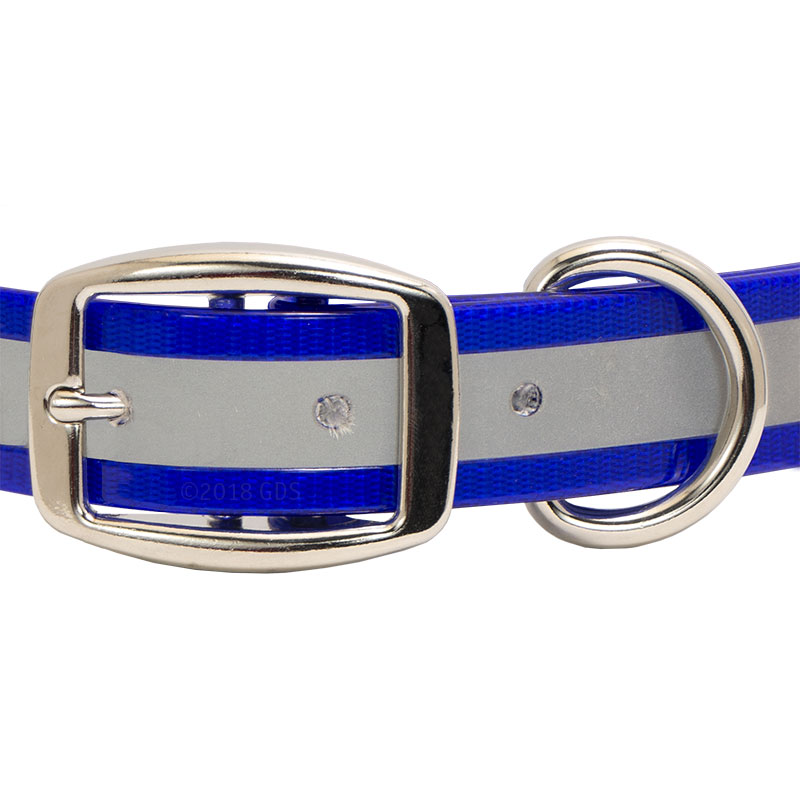 MOPIX SunGlo Reflective Standard Dog Collar Front of Buckle Detail.