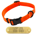 ORANGE LONG 1 in. QUICK DAWG Nylon Quick Release Collar