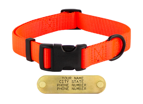 Olive Quick Release Collar