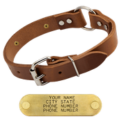  shop 1 in. Leather O-Ring Collar