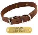 1 in. Leather Standard Dog Collar