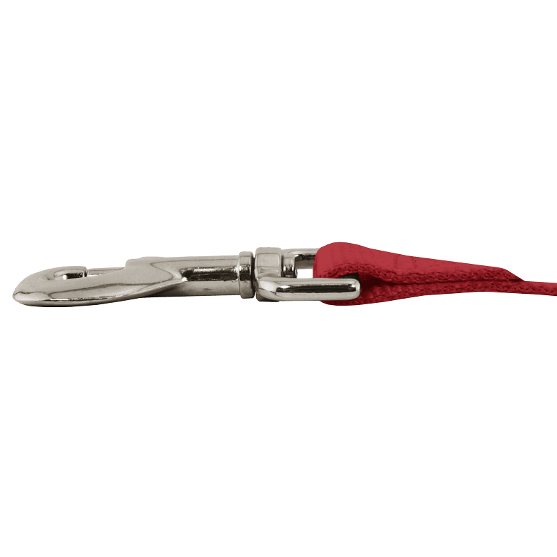 1 in. x 4 ft 1-Ply Nylon Leash Hardware Attachment Edge