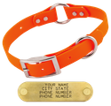 1 in. Orange Granite O-Ring Dog Collar -- Stainless Steel Hardware