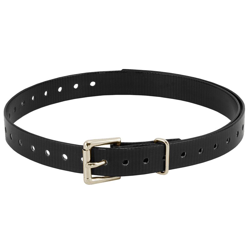 3/4 in. Black Replacement Collar Strap
