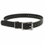 3/4 in. Black Replacement Collar Strap