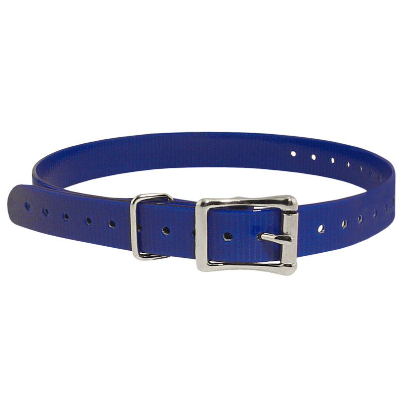 3/4 in. Blue Replacement Collar Strap