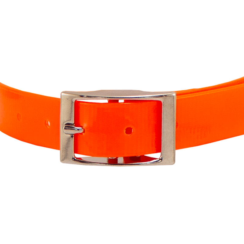 3/4 in. SunGlo Center Ring Front of Buckle Detail