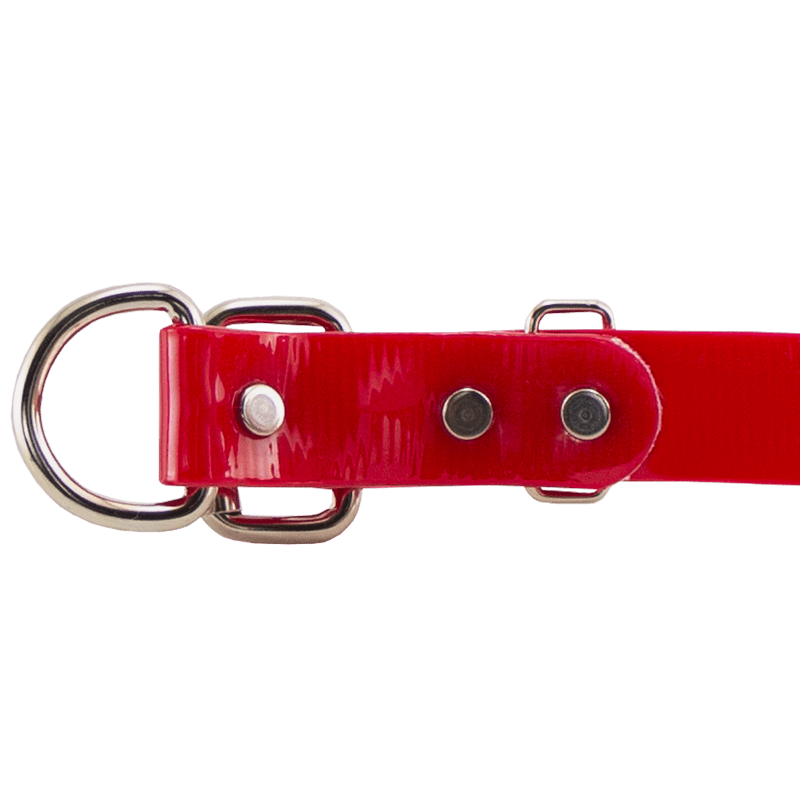 3/4 in. SunGlo D-End Puppy/Small Buckle Inside Detail