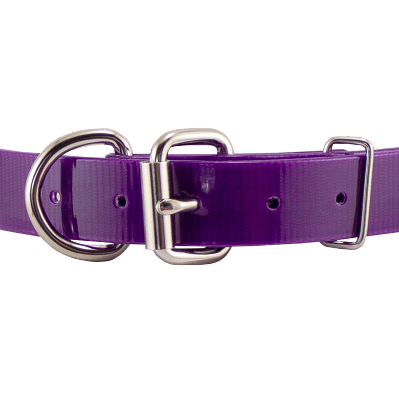 3/4 in. SunGlo D-End Puppy/Small Front of Buckle Detail
