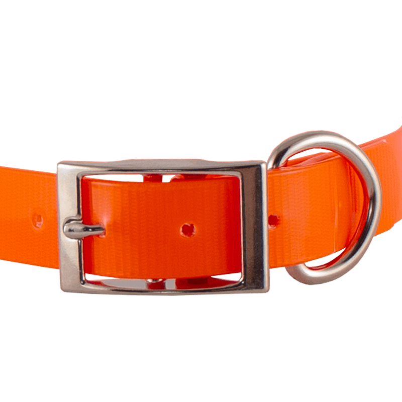 3/4 in. SunGlo Standard Collar Front of Buckle Detail