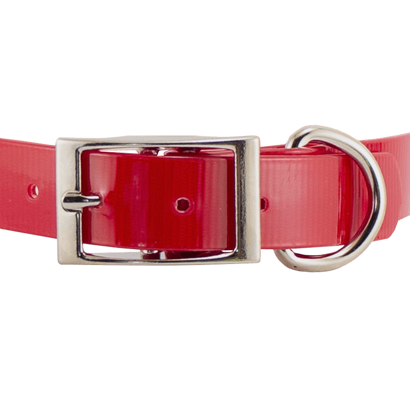 3/4 in. SunGlo Standard Puppy/Small Collar Front of Buckle Detail