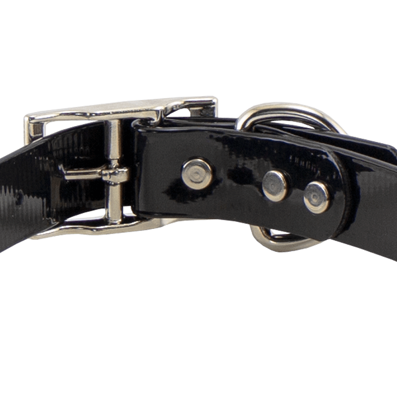 3/4 in. SunGlo Standard Puppy/Small Collar Back of Buckle Detail