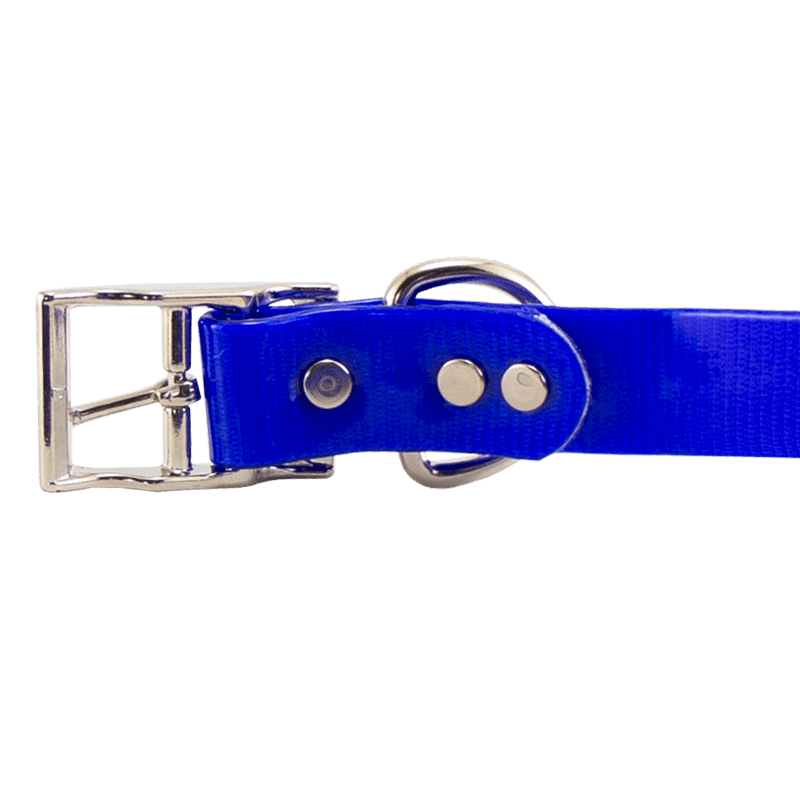 3/4 in. SunGlo Standard Puppy/Small Collar Buckle Inside Detail
