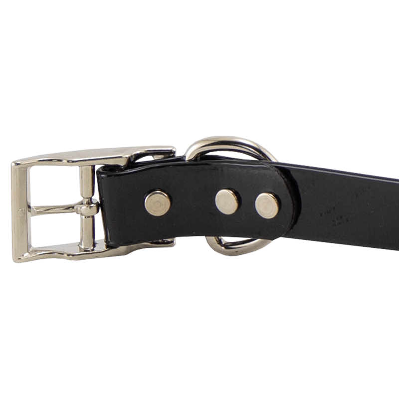 3/4 in. SunGlo Standard Puppy/Small Collar Buckle Inside Detail