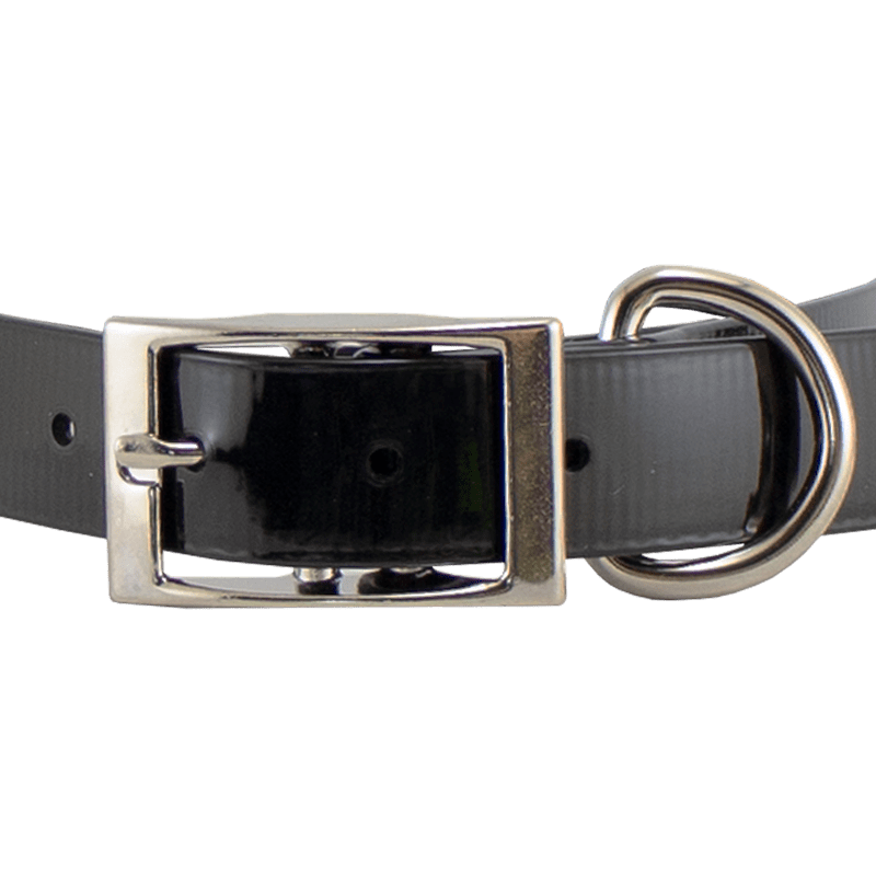 3/4 in. SunGlo Standard Puppy/Small Collar Front of Buckle Detail
