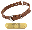 3/4 in. Leather O-Ring Puppy / Small Dog Collar