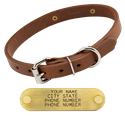 3/4 in. Leather Standard Puppy / Small Dog Collar