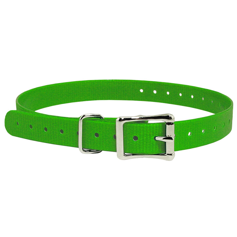 3/4 in. Light Green Replacement Collar Strap